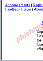 eBay Security Measures: Verify your identity